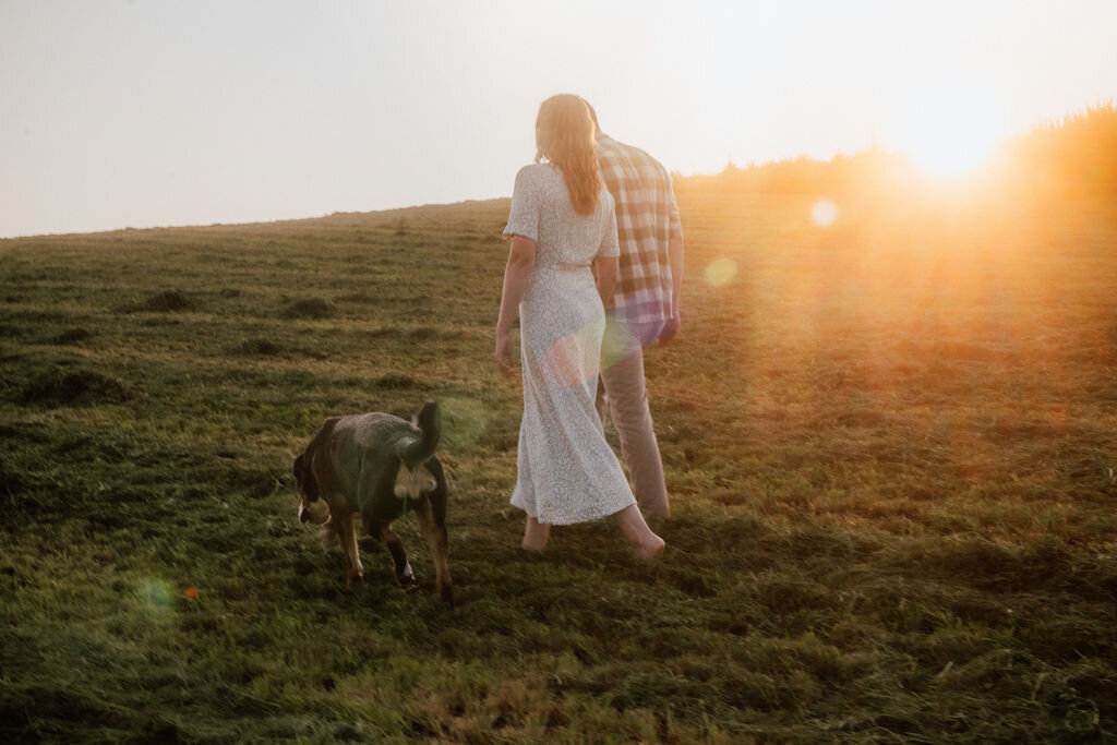 Elis-Fotografie-Hundefotografin-Solothurn-Tiefotografin-Biel-Paarfotos Solothurn-Hochzeitsfotograf-Bern91