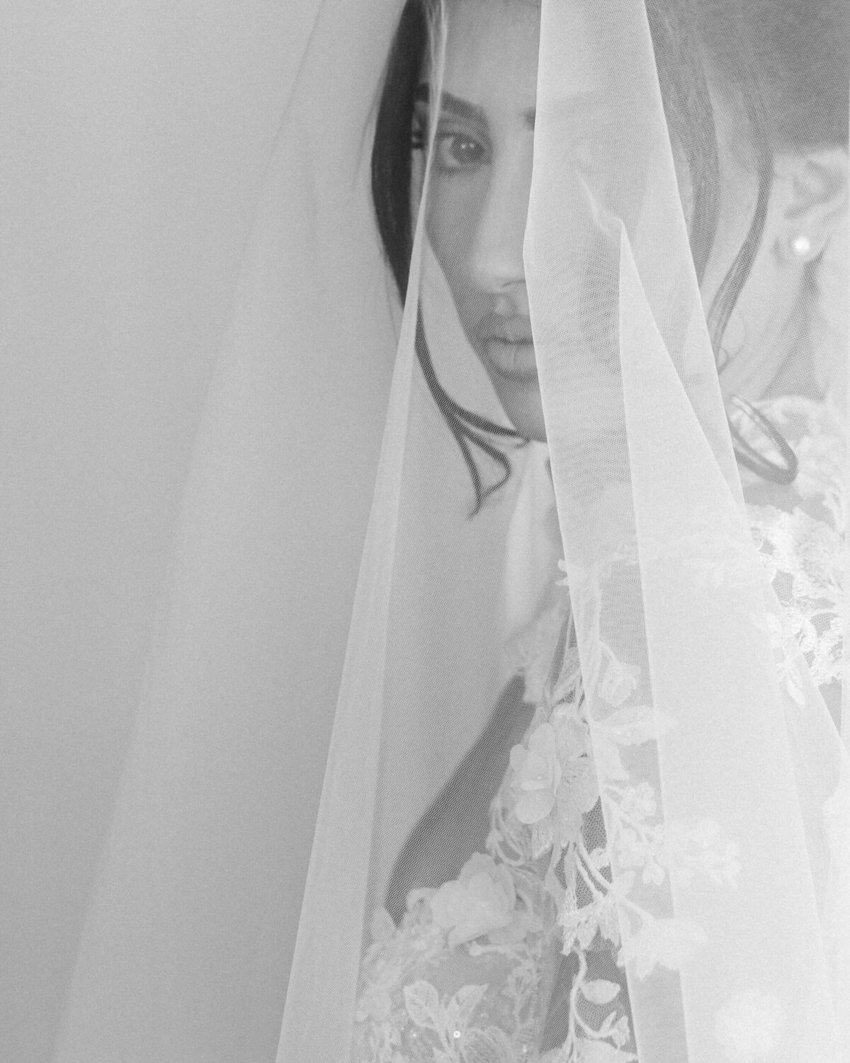 WJ2_2912 copy