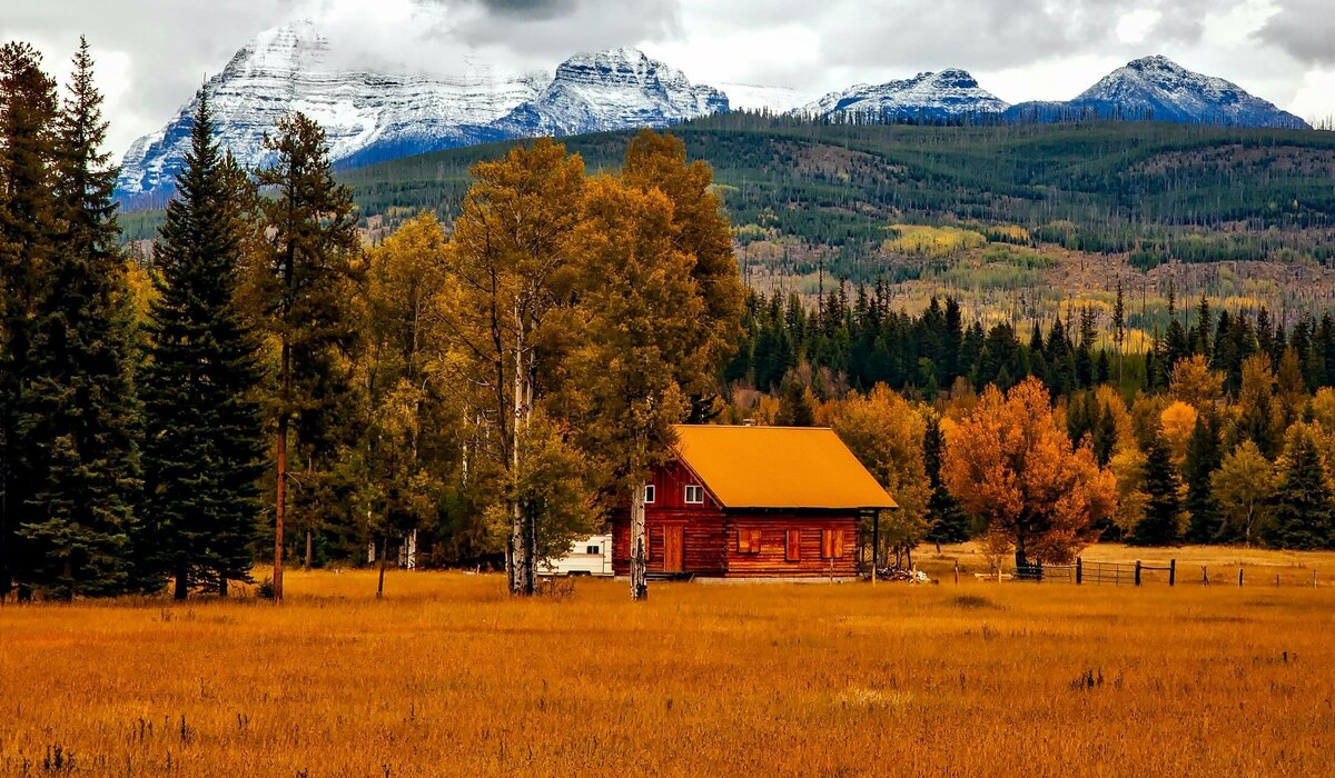 Fire mitigation tree clearing for mountain property in Western Colorado