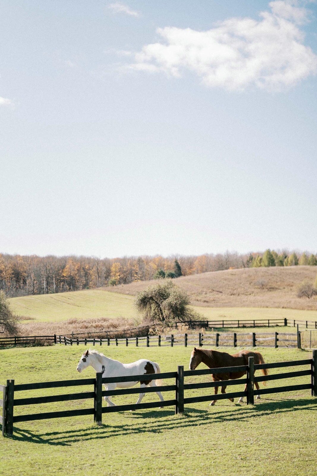 W11-Wedding-Photos-Caledon-Valley-Estate-Eleanor-and-Michael-2024-11-02-2500px-1058