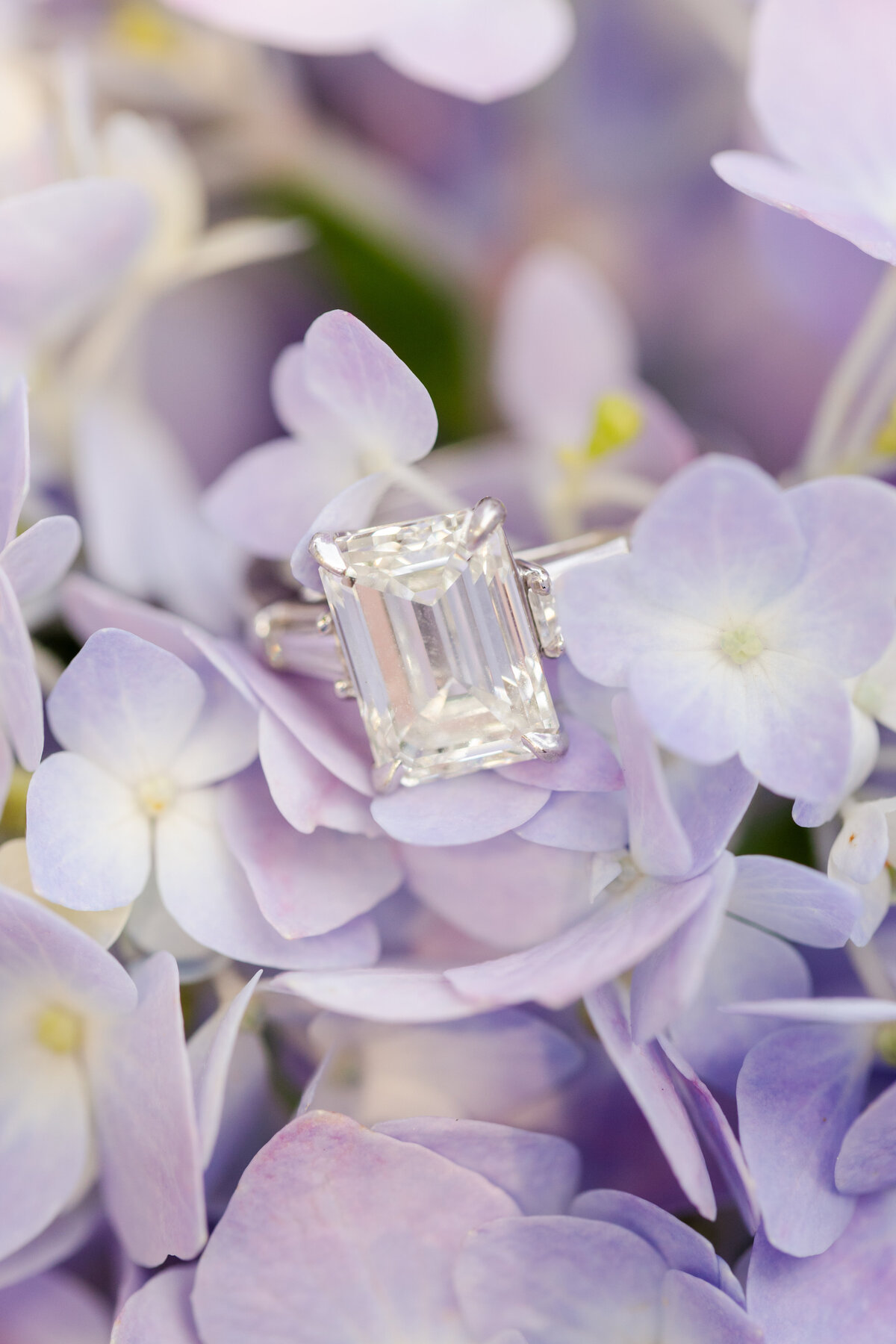 engagement-ring-on-hydrangea