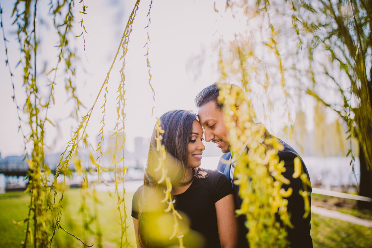 A couple sharing a moment behind some weeping willow trees at gantry plaza in nyc