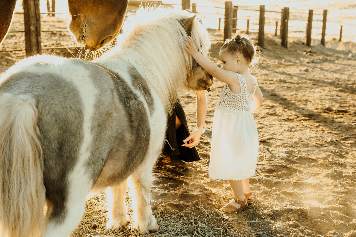 Family Photography Central Bend Oregon - Photos x Kristin-8