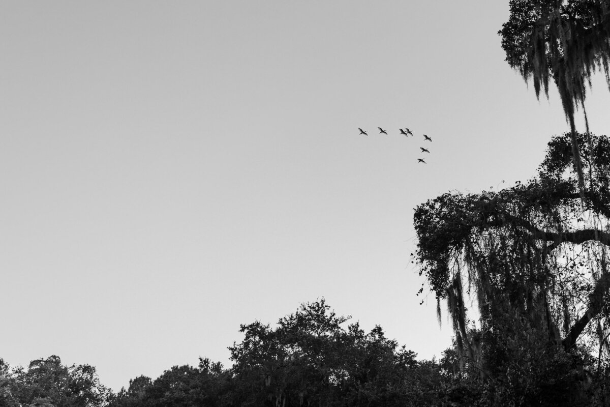 _27A5452