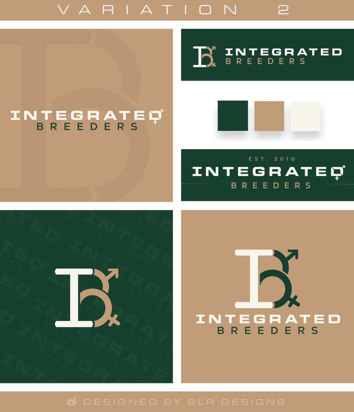 Logo_V1IBS(F8)
