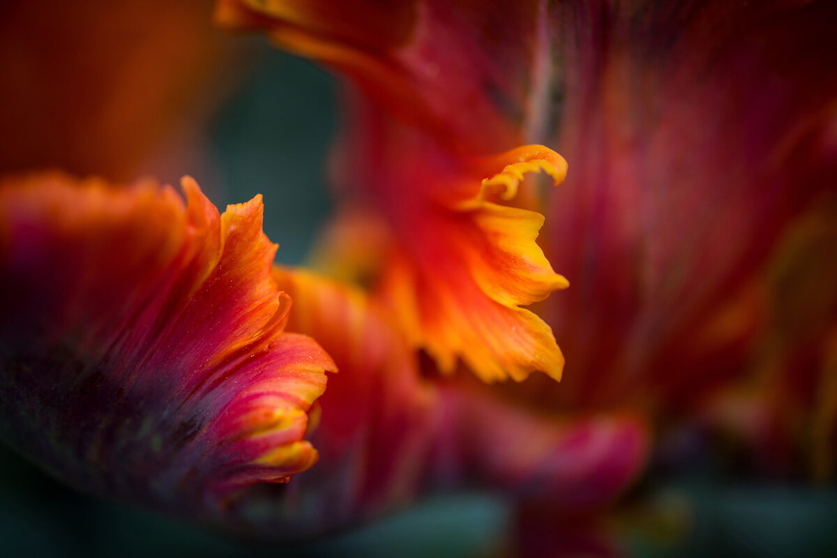 HeatherLarkin-9