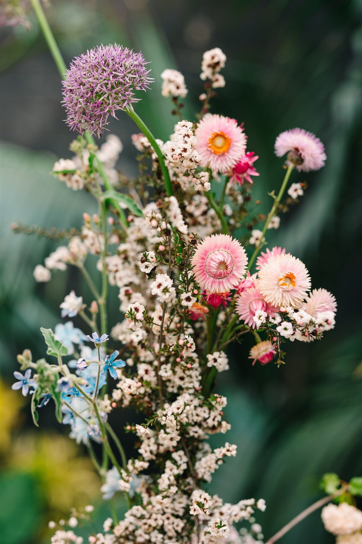 ANWed_0477