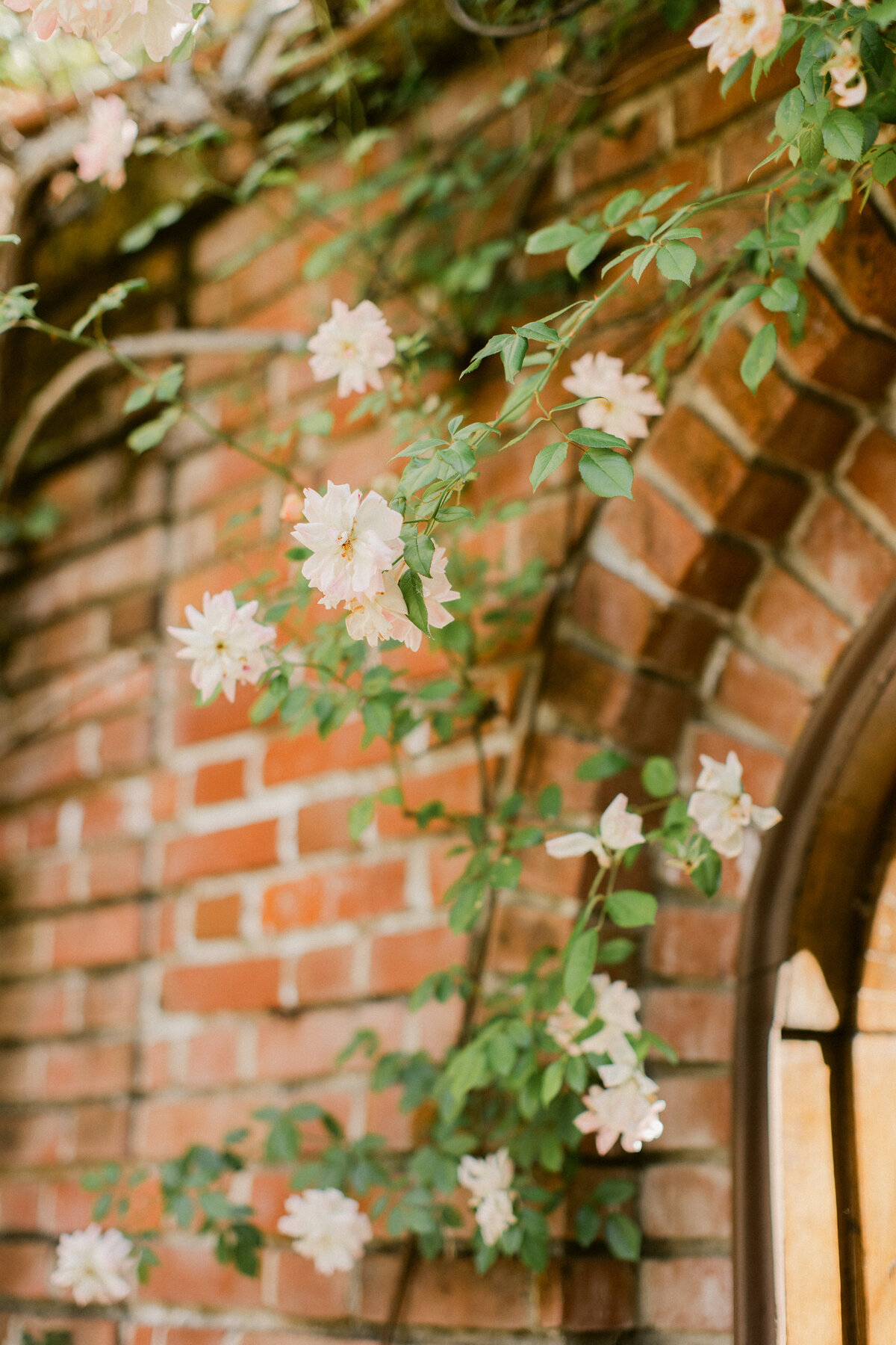 filoli-wedding-22