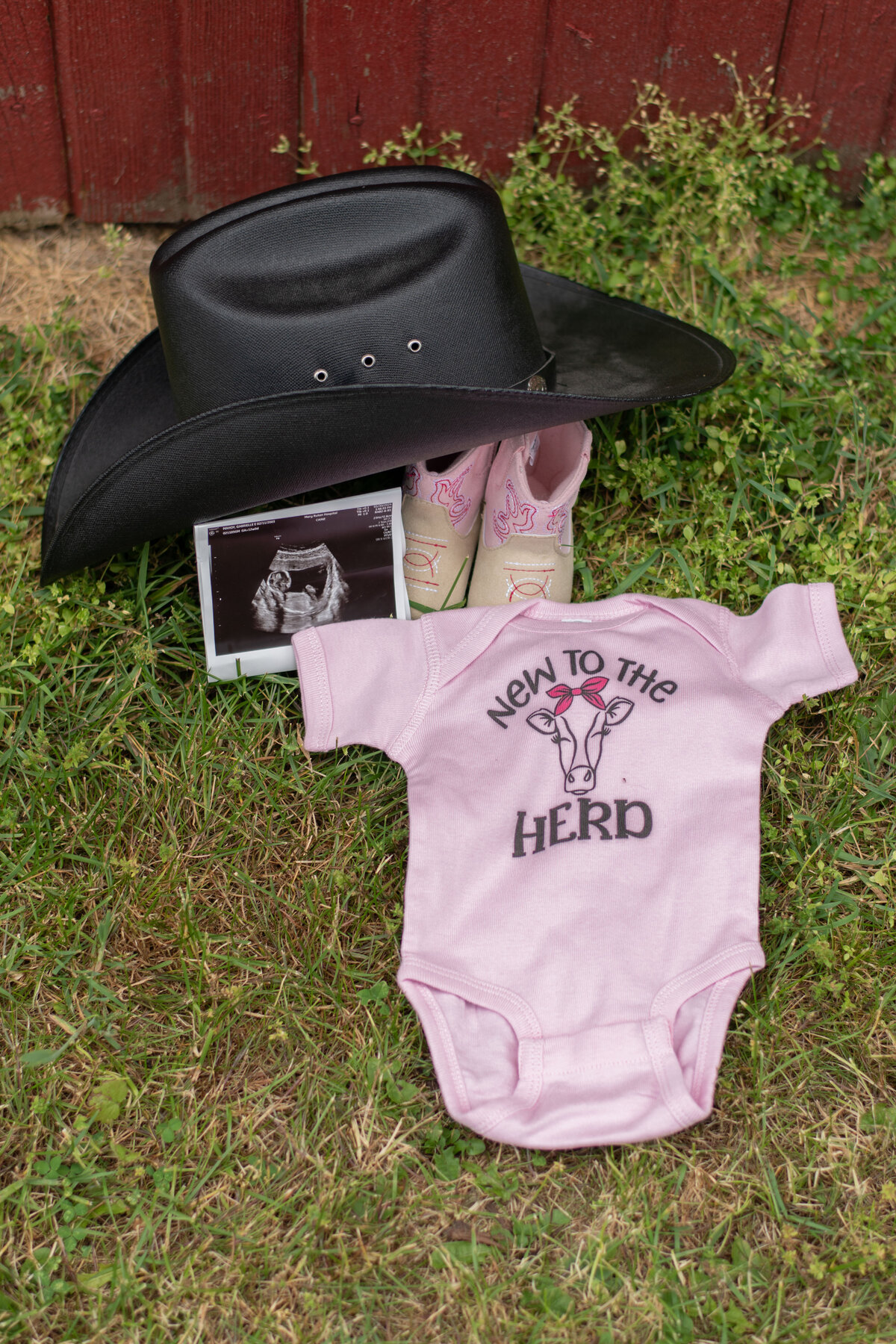 Gabby's Maternity Photos_June 2024_050