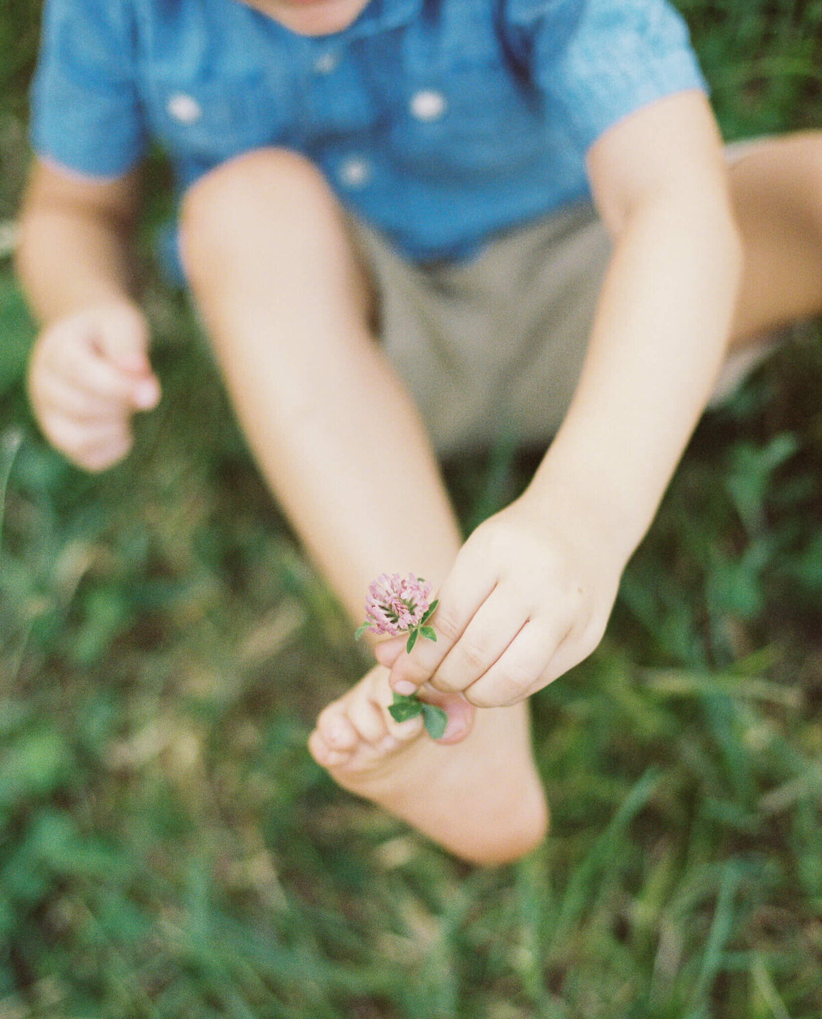little boy with flower in between toes on portra 400 film
