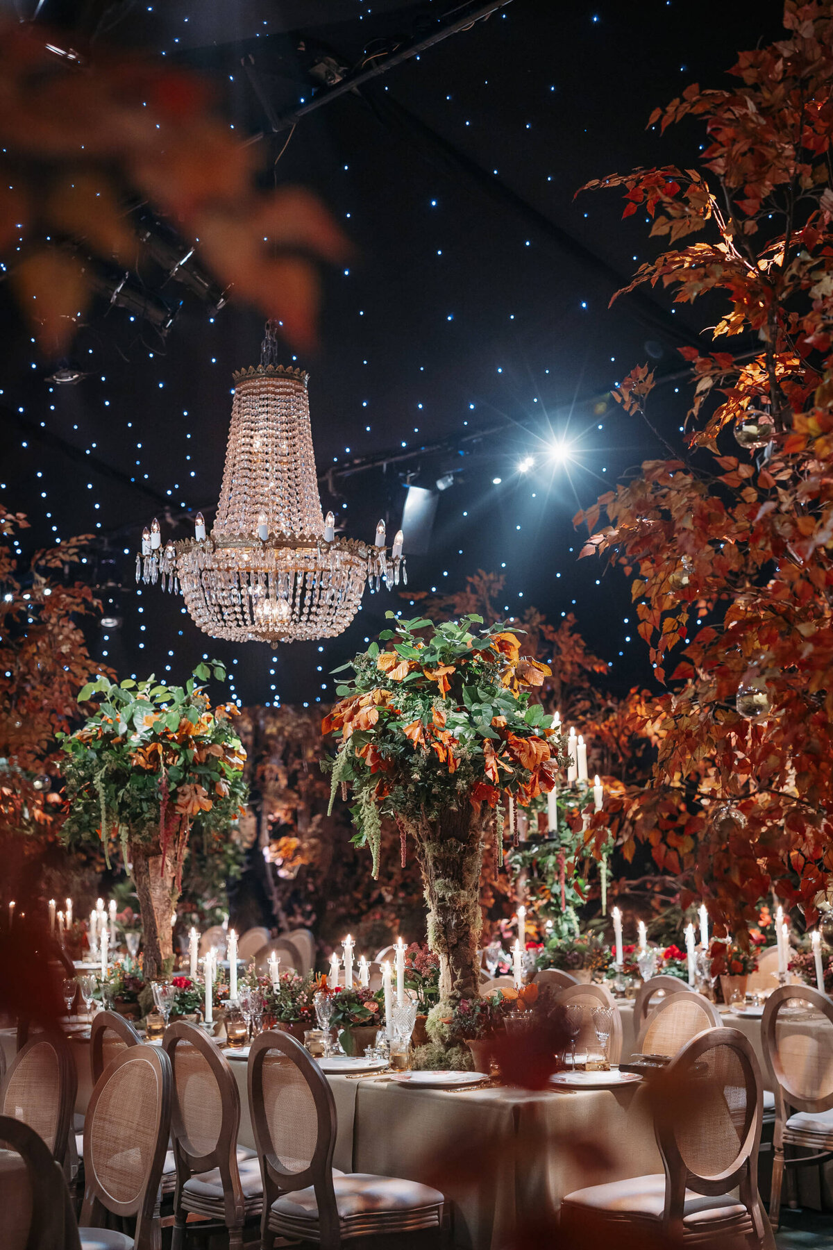 Hay Enchanted Forest, Rocket, LaraArnott, November 30, 2024, 233