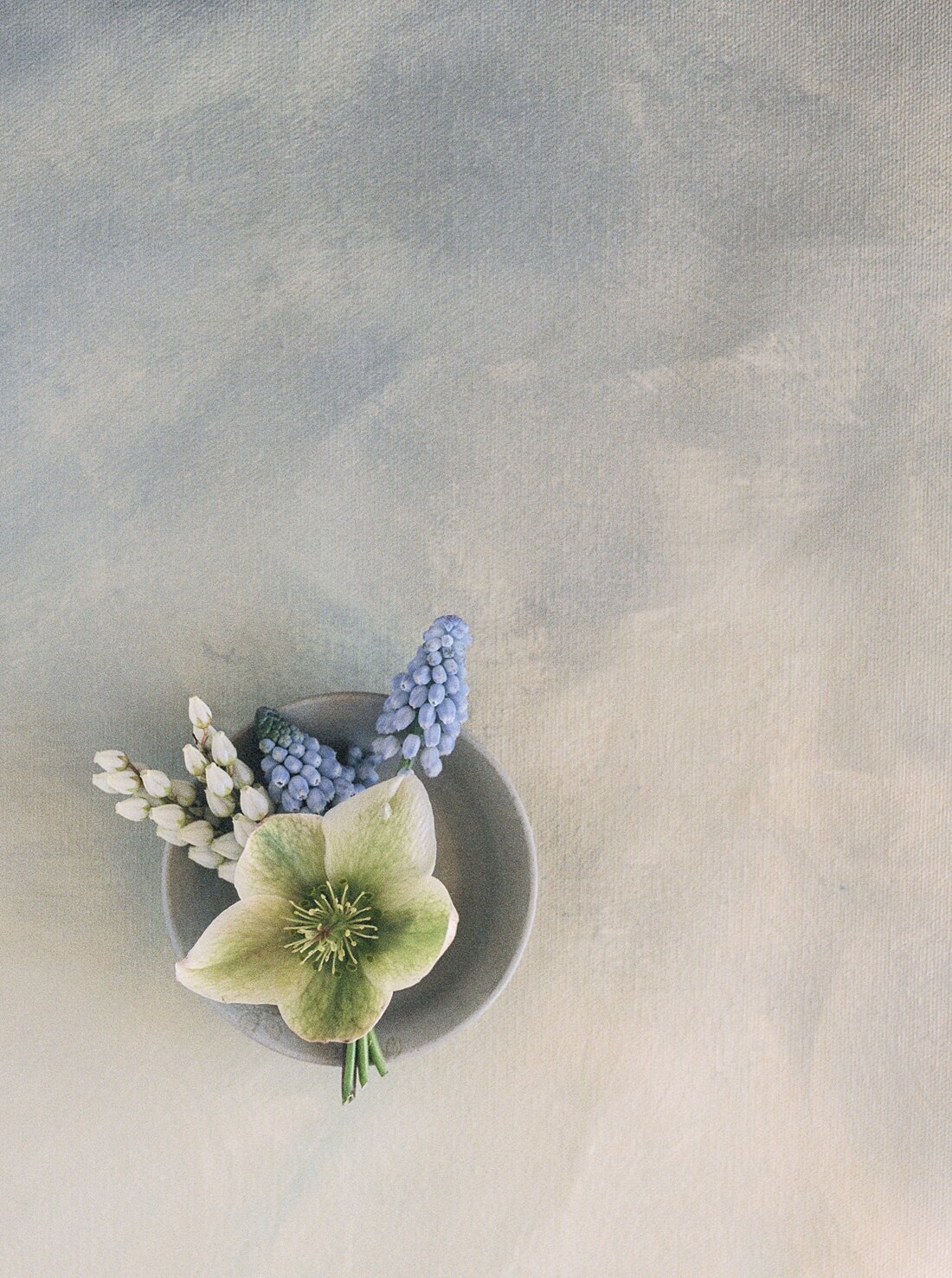 AshleyCookPhotography-41