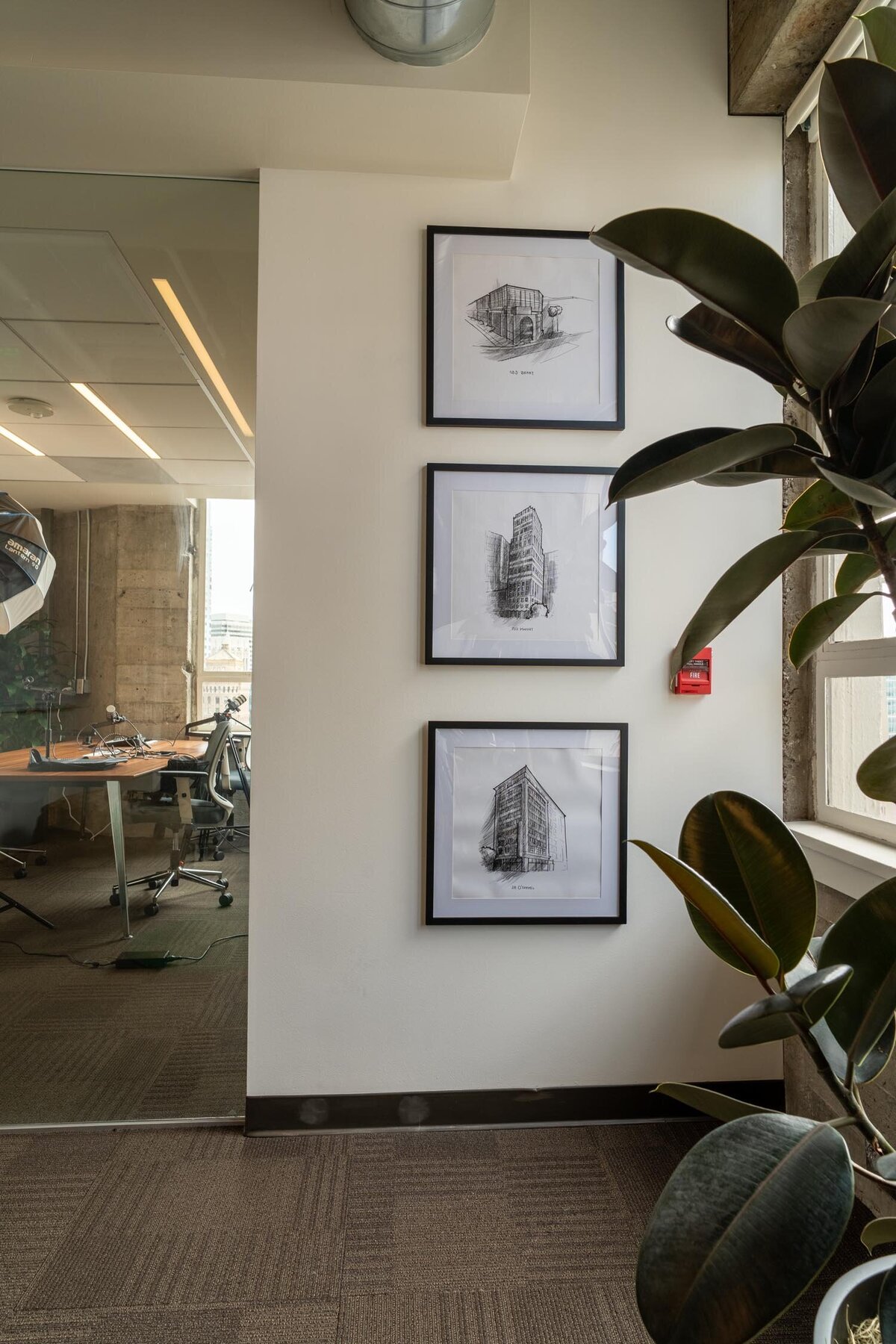 Hallway corner displaying three framed architectural sketches on a white wall, adjacent to a glass meeting room and indoor plants.