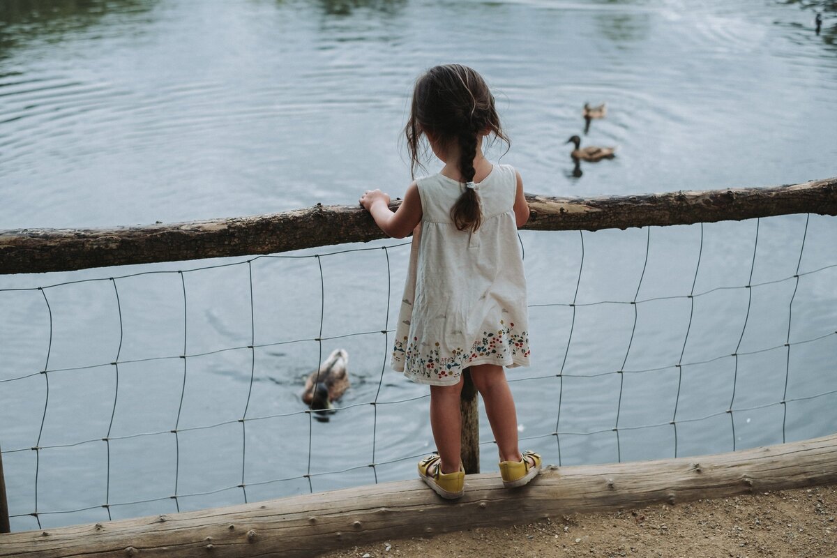 Little girl in white dress feeds ducks at a pond in North London