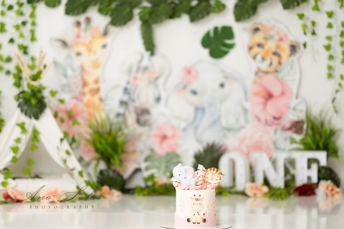 Cake_Smash_Photographer_Edmonton_Wild_One_Girl