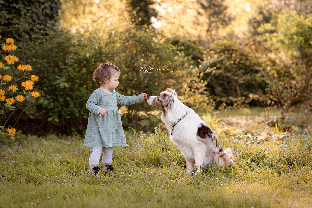fotoshoot-limburg-honden02