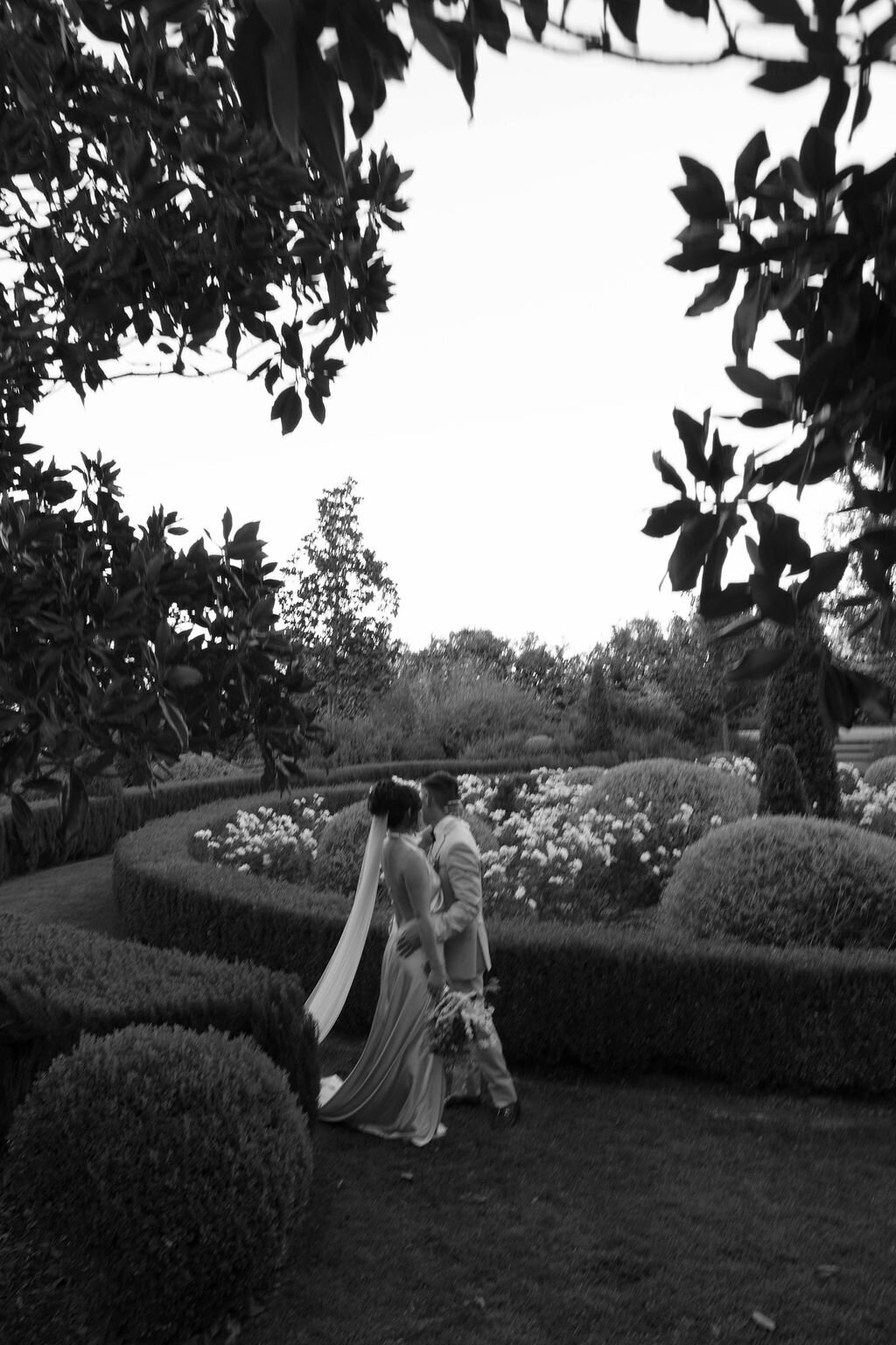 Northern-California-Wedding-Photographer-Soul-Like-The-Sun39