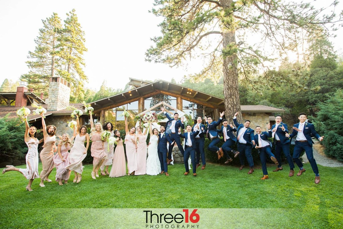 Entire bridal party jumps for joy