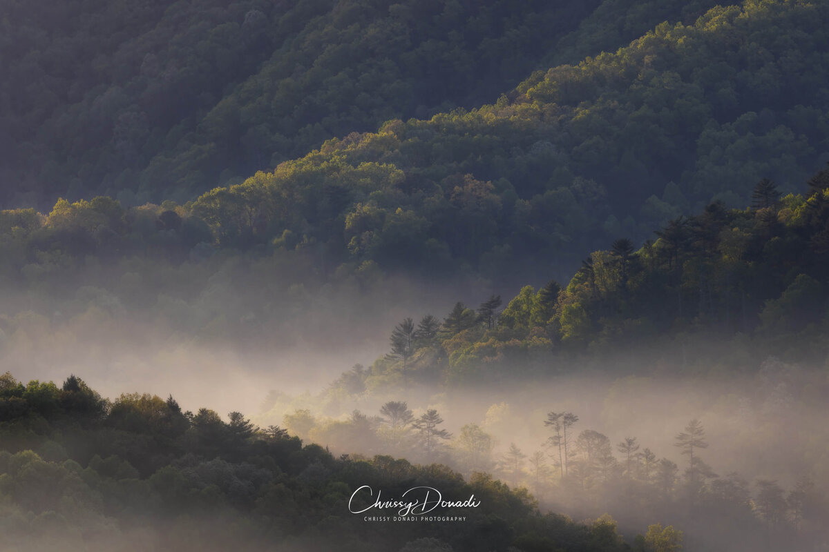 2022.04-Nature-TN-Smoky-Mountains-NP-Coffee-Can-Wait-Chrissy-Donadi-Landscape-Photography