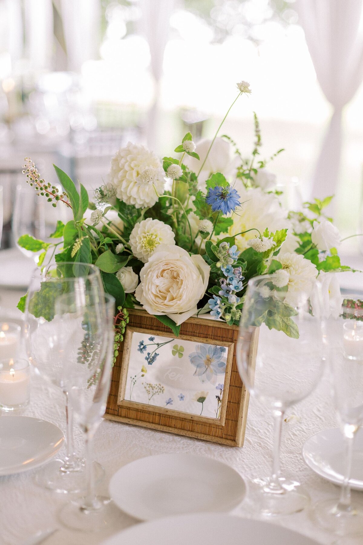 Caitlin-Chris-Blithewold-Mansion-Wedding-41