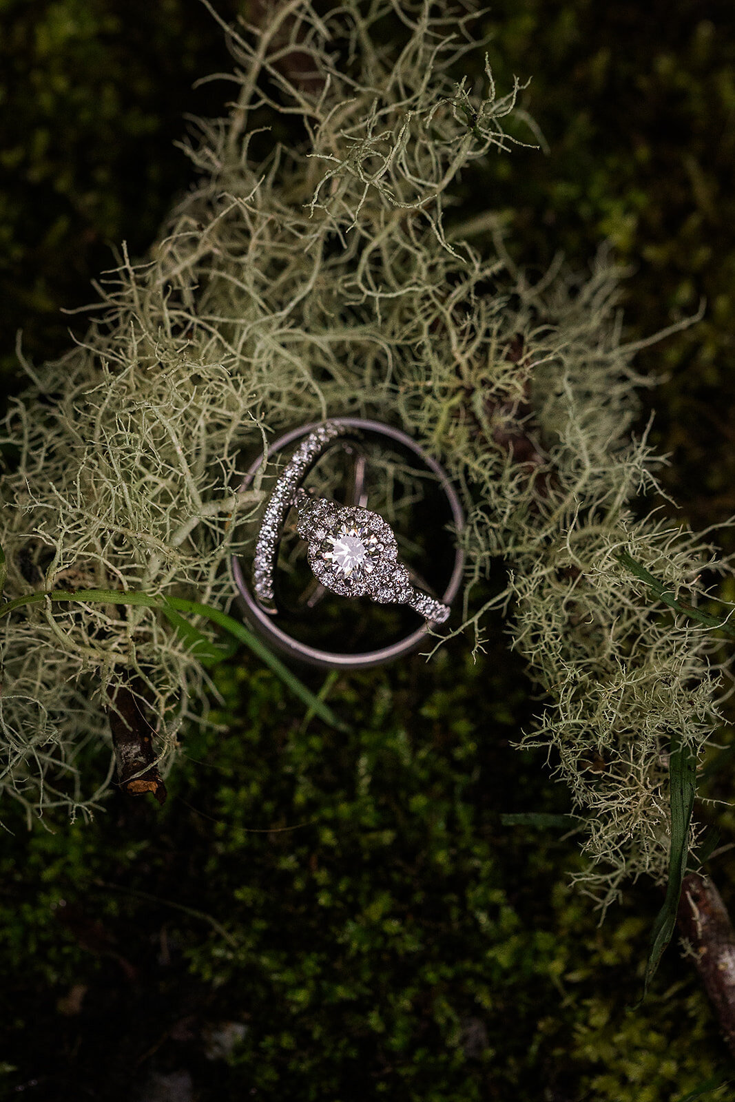 Final_Seaview Washington Elopement - Tara Nichole Photo - 2024 - Lauren and Jarrod-186