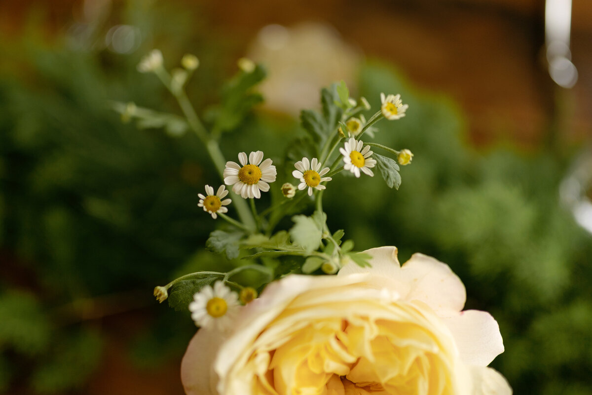MLWedding010