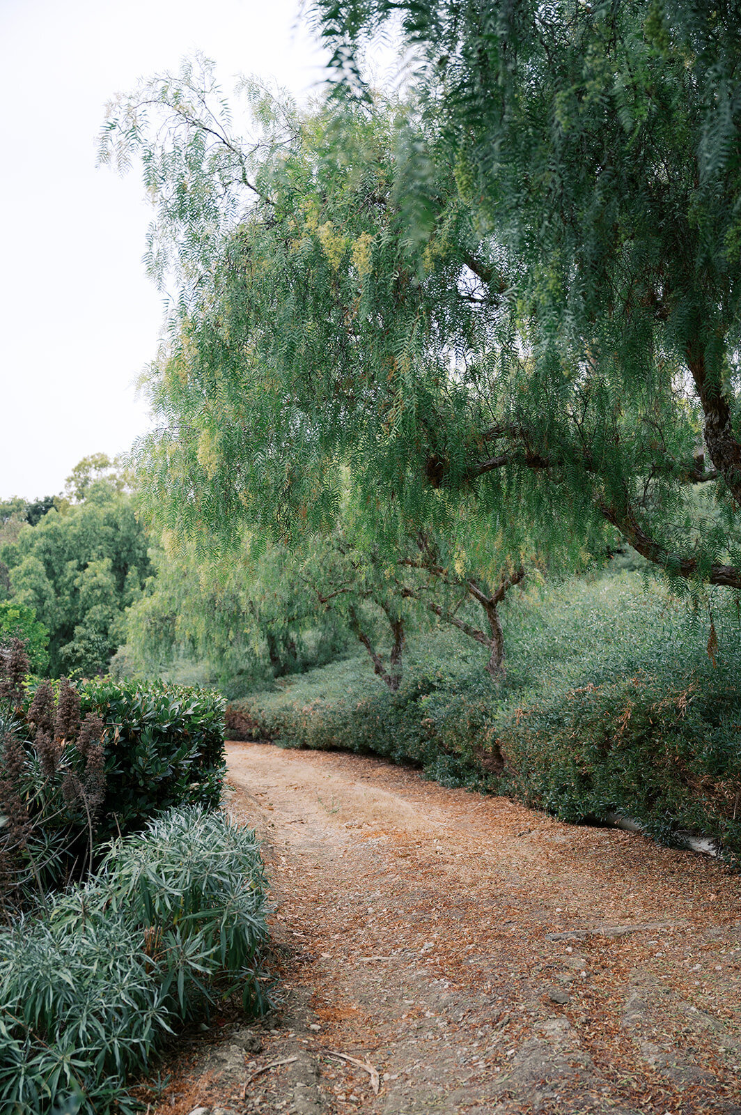 XOKateVillaVeranoBTS-0041