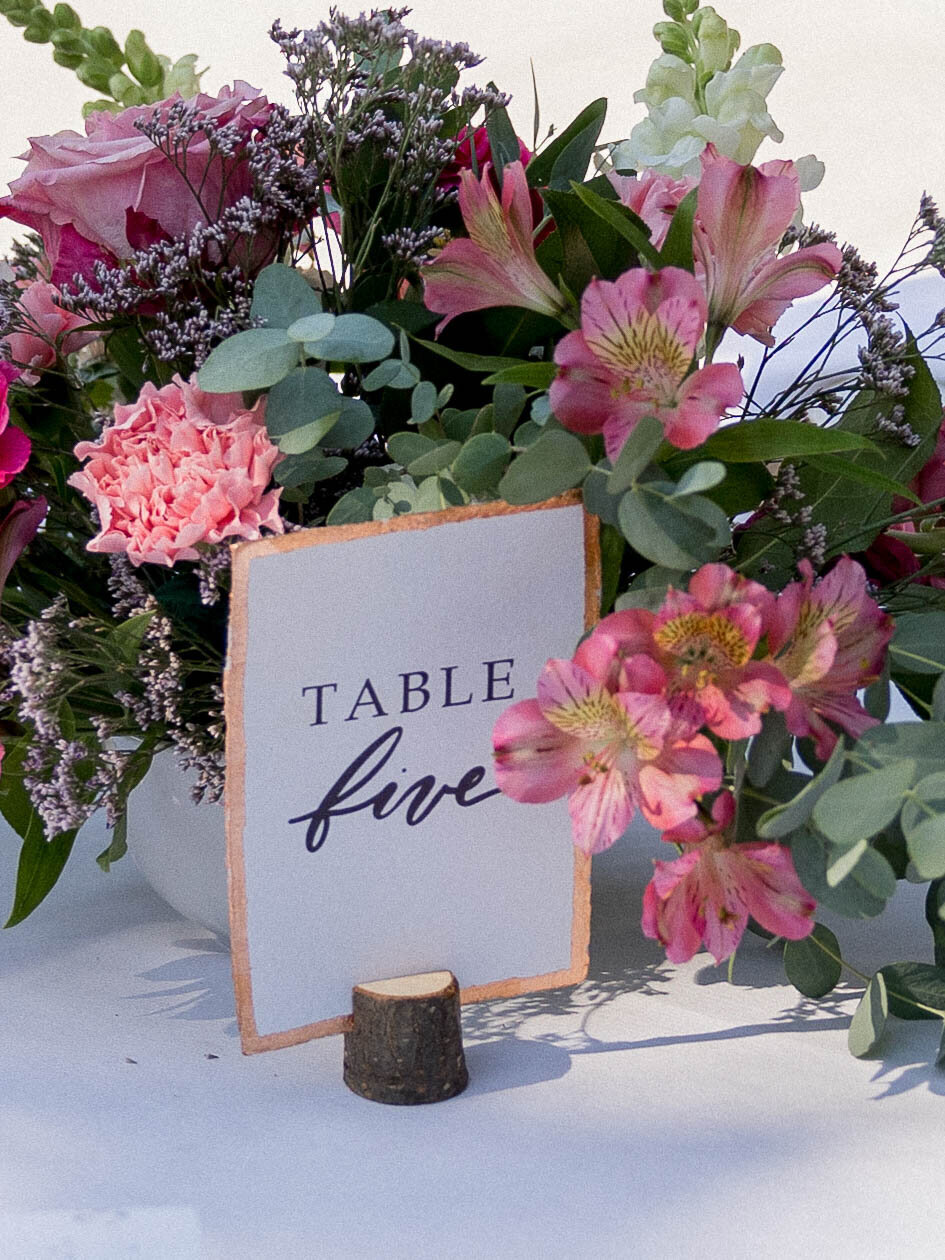 TERRA-MIA-wedding-PHOTOS-124
