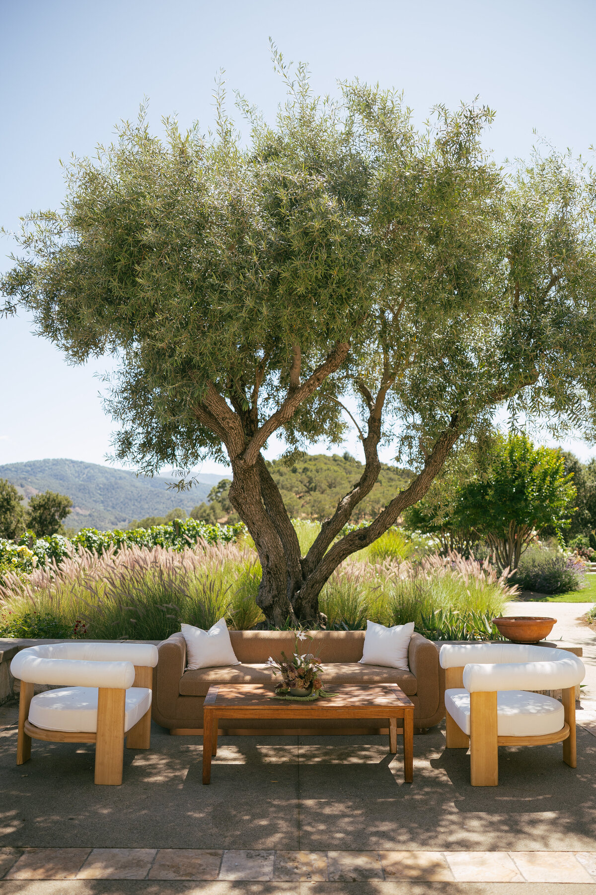 rosefreedmanphotography-13 2