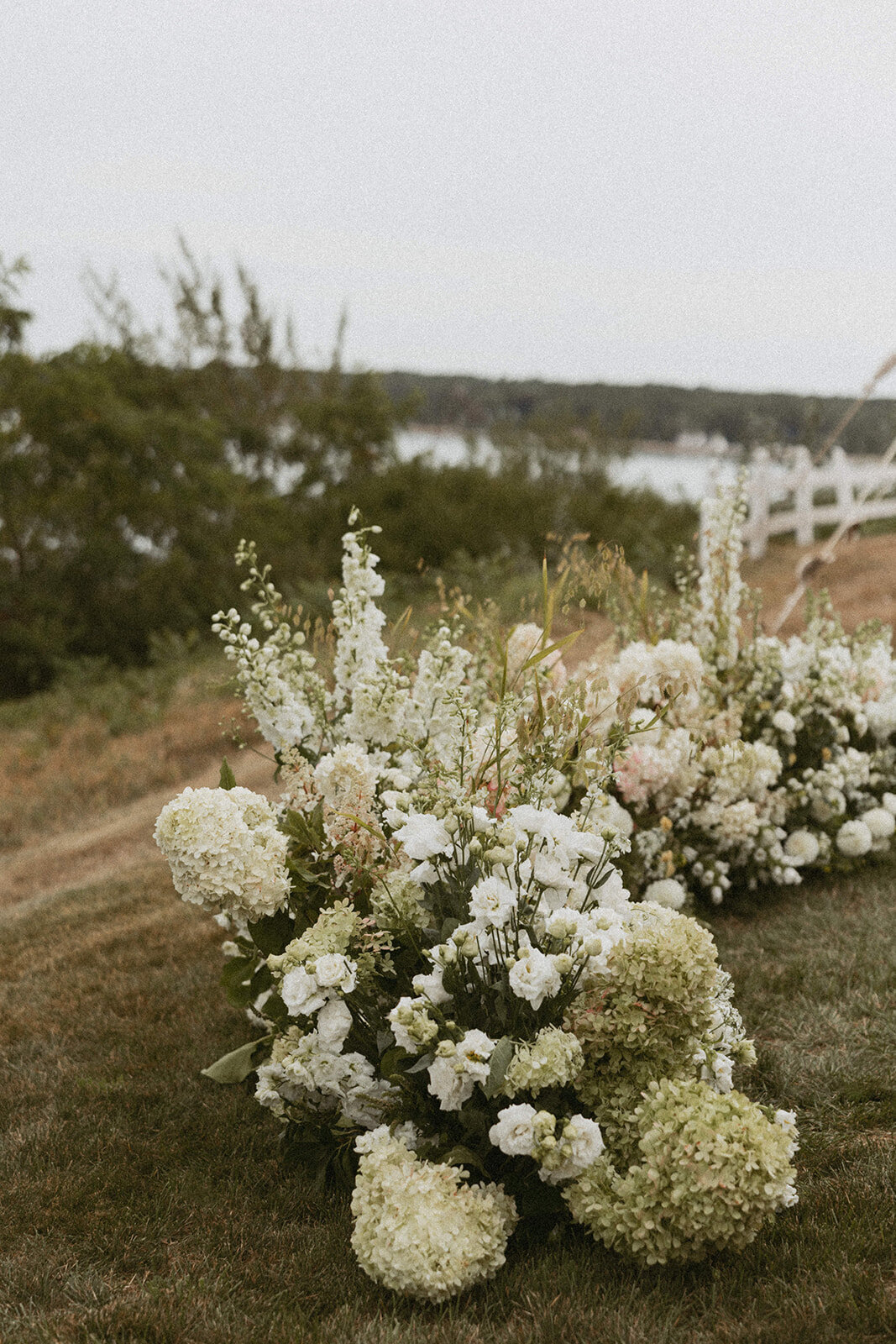 porchianicolephoto-8 (1)