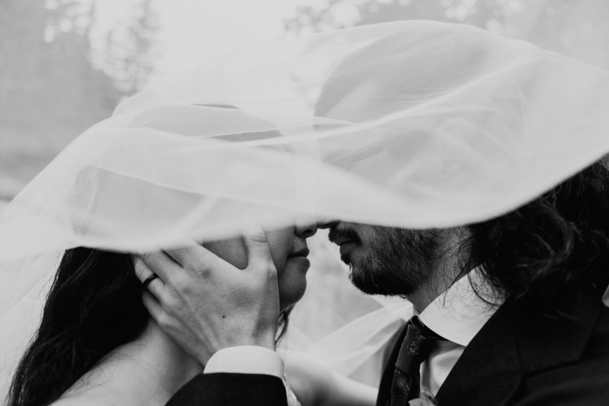 Bride and groom kissing under wedding veil