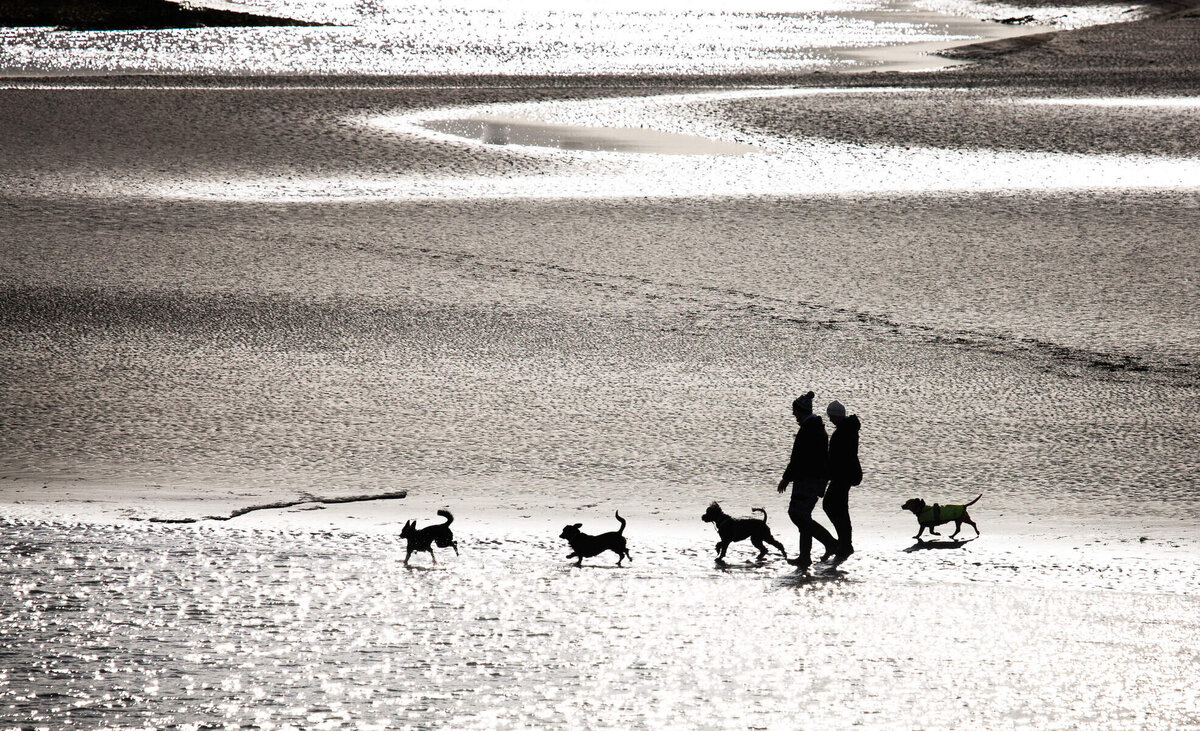 Couple walking dogs, Harbour View, Co Cork_Web Size