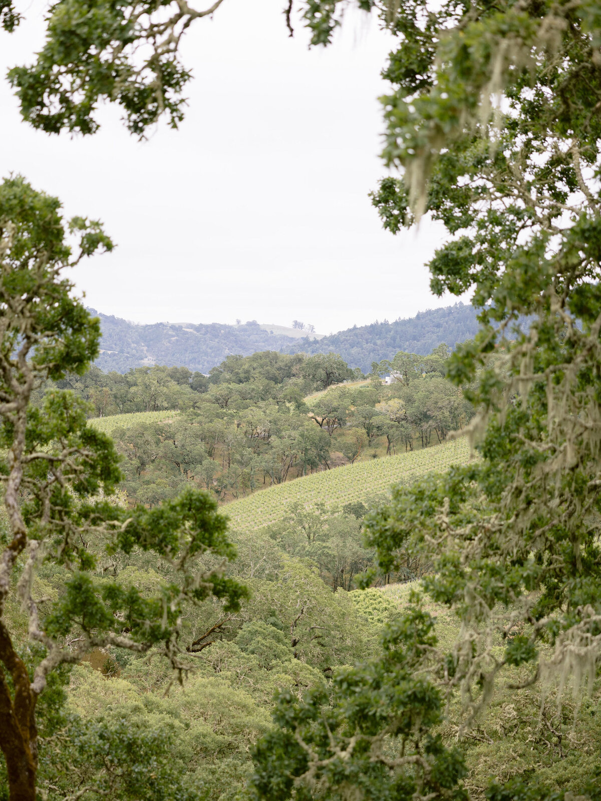 SK-montage-healdsburg-wedding-larissa-cleveland-001