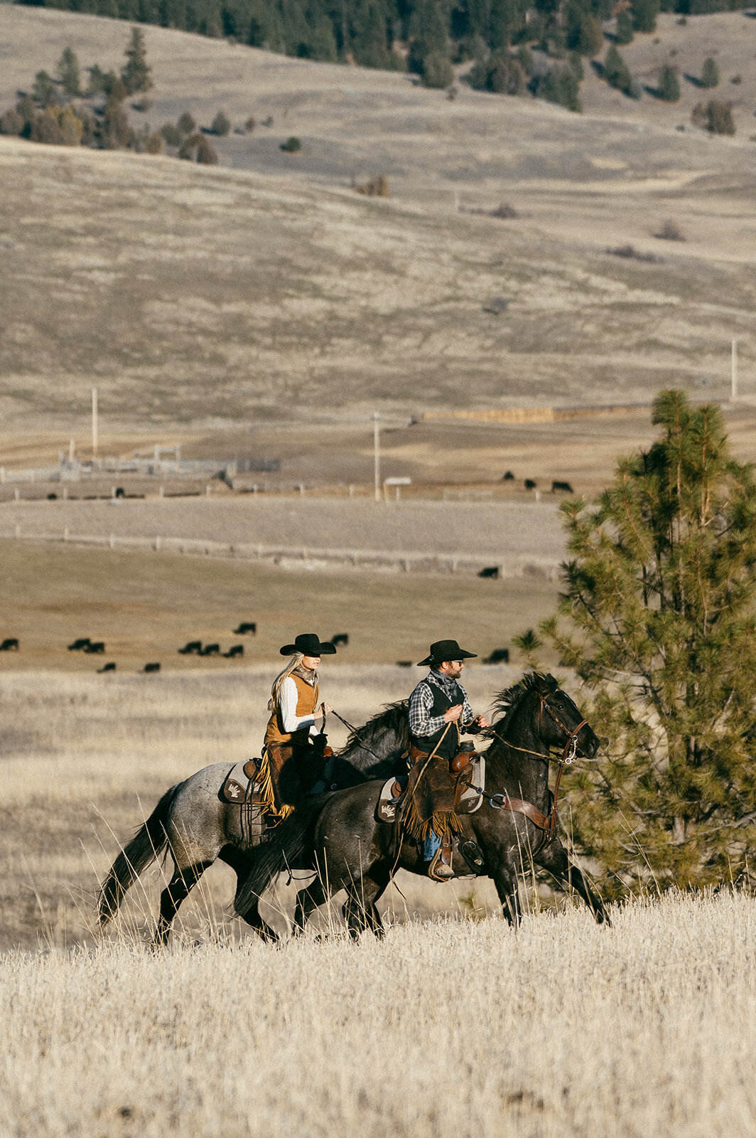 presley-gray-photo-montana-western-ranch-couples-photoshoot-1735