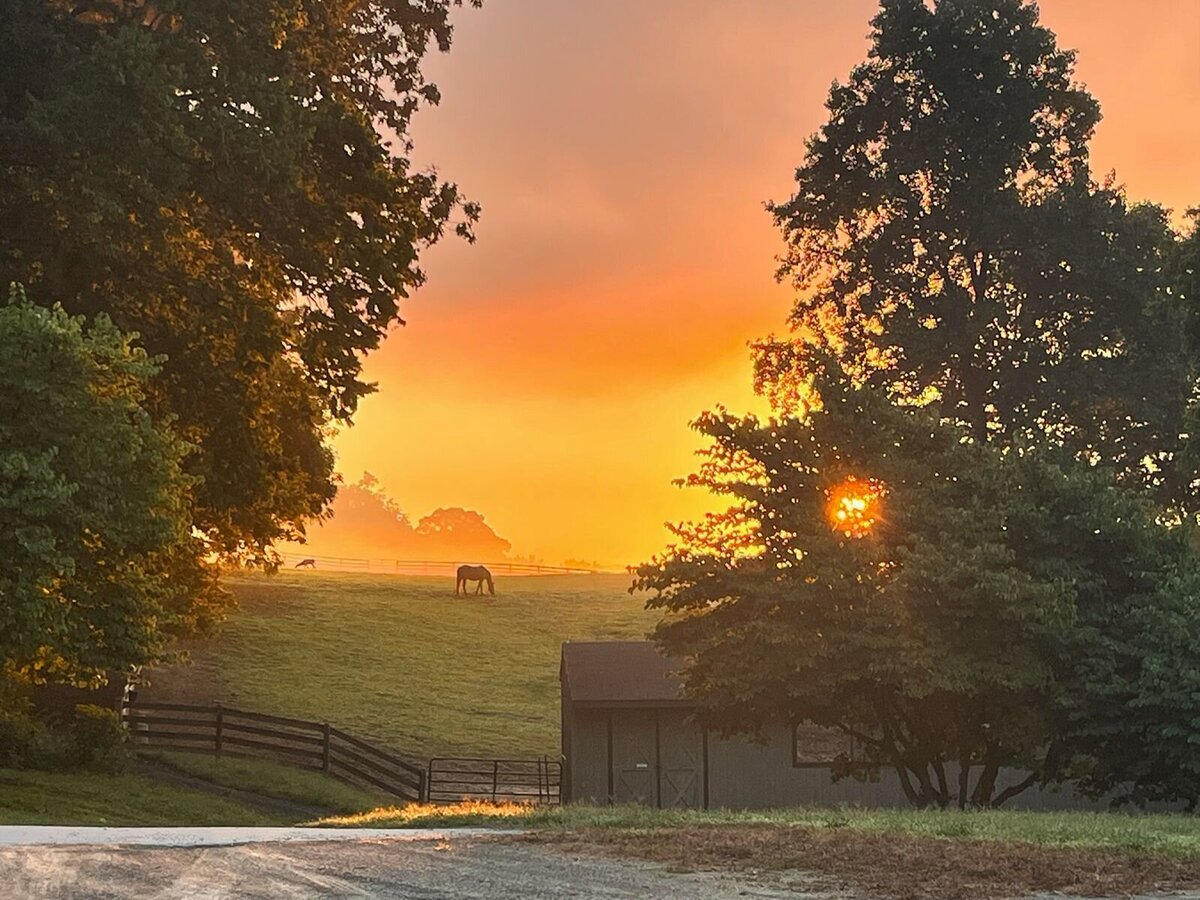 jp-dressage-kynynmont-farm-pa-26
