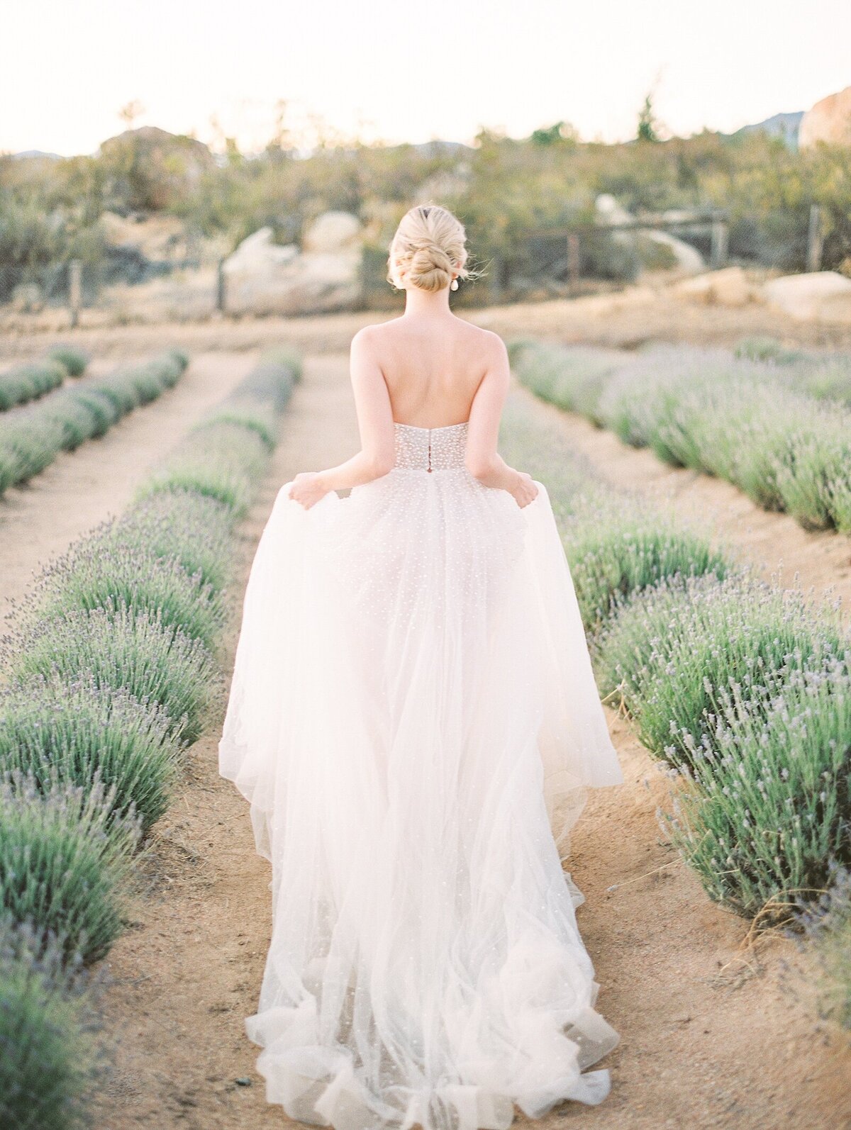 Bridal Editorial Photoshoot at the Lavender Fields in Fork and Plow Lavender Farms by Lisa Riley Photography based in La Jolla, California.