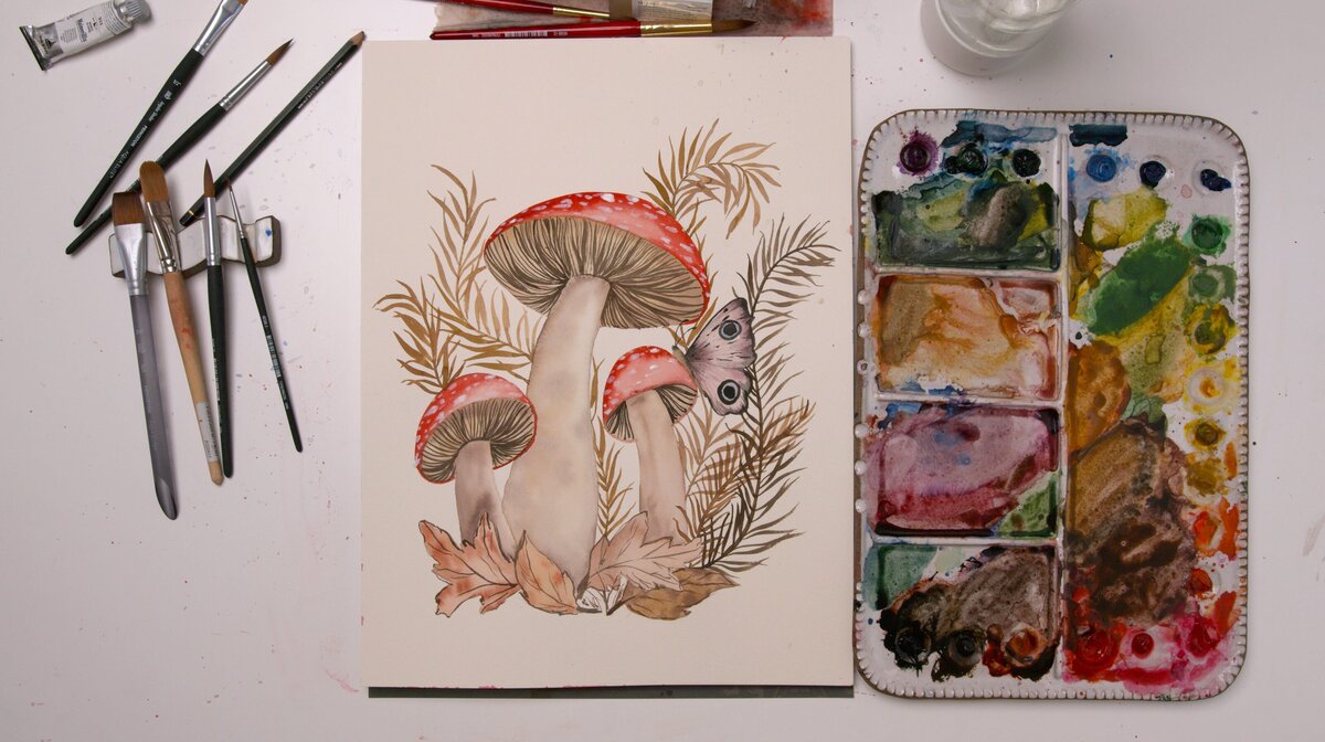 paex-2022-11-mushrooms-1