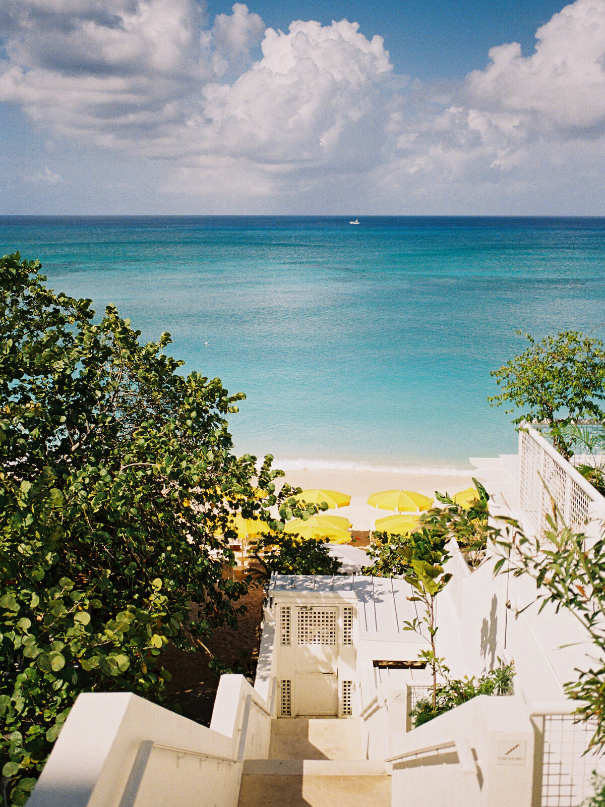 leila-brewster-photography-171