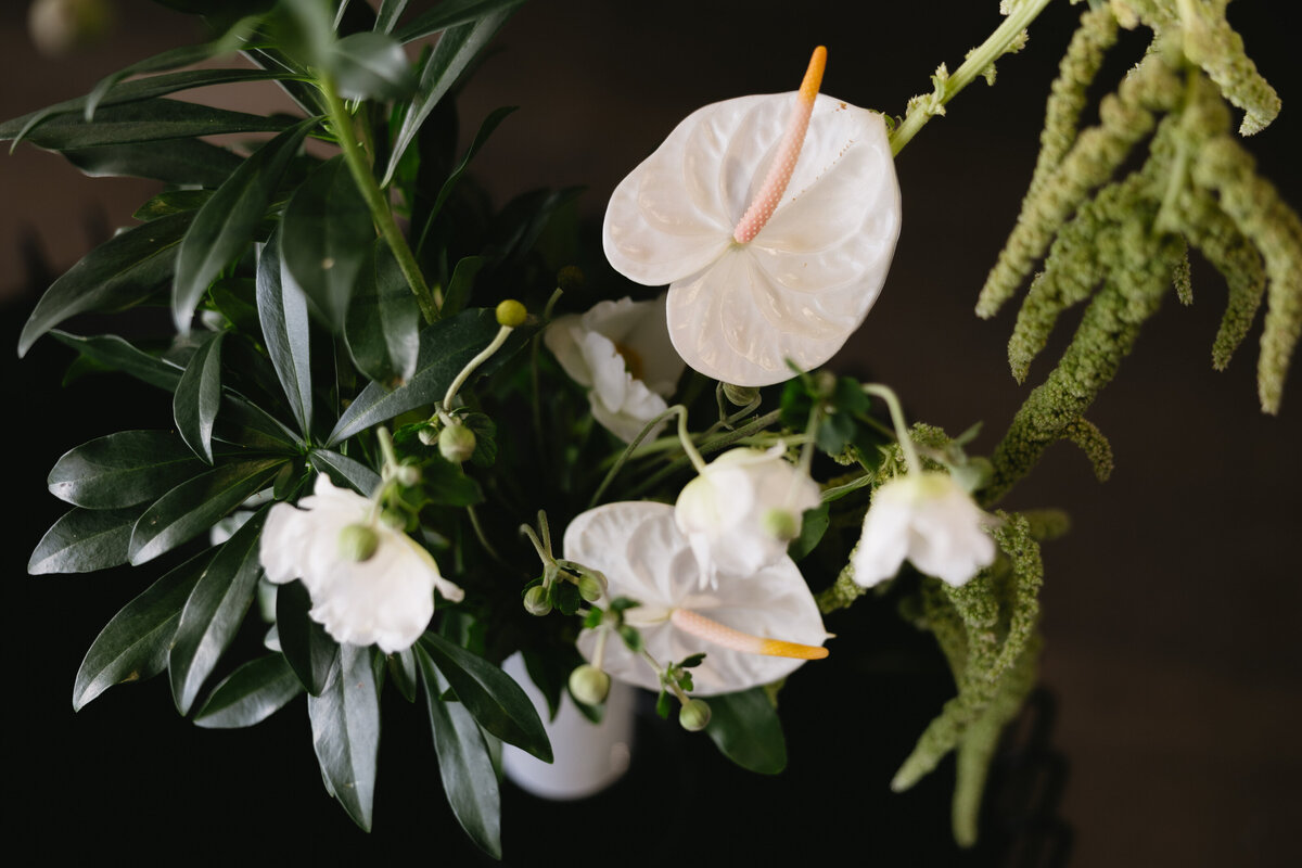 kathryn-mclaren-photo-the-polygon-vancovuer-queer-wedding-351