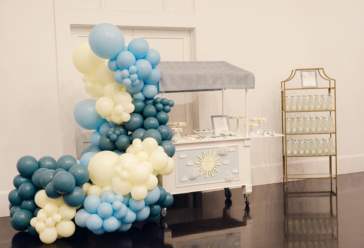baby-shower-dessert-cart-at-lakeview-pavilion-ma-2