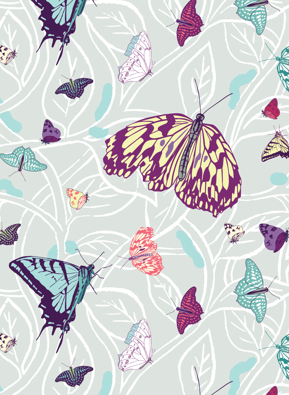 anticipflutter-01