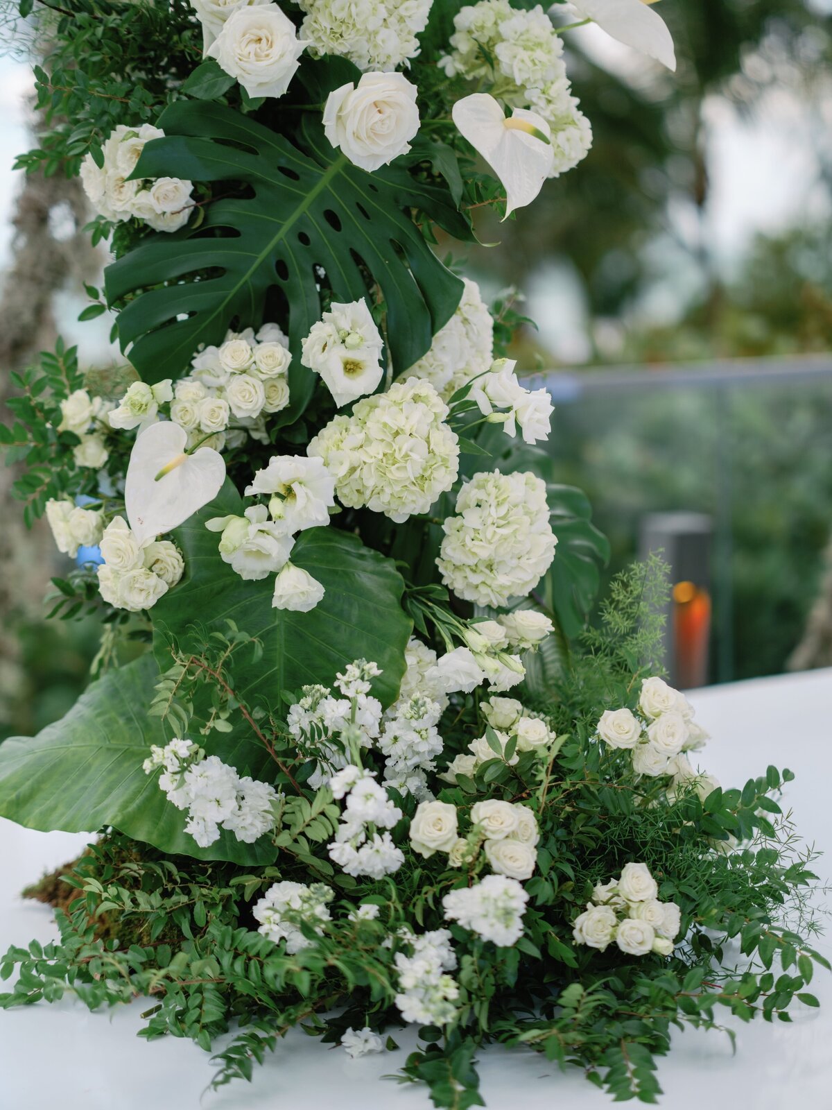 Haley + Buraq Wedding-787
