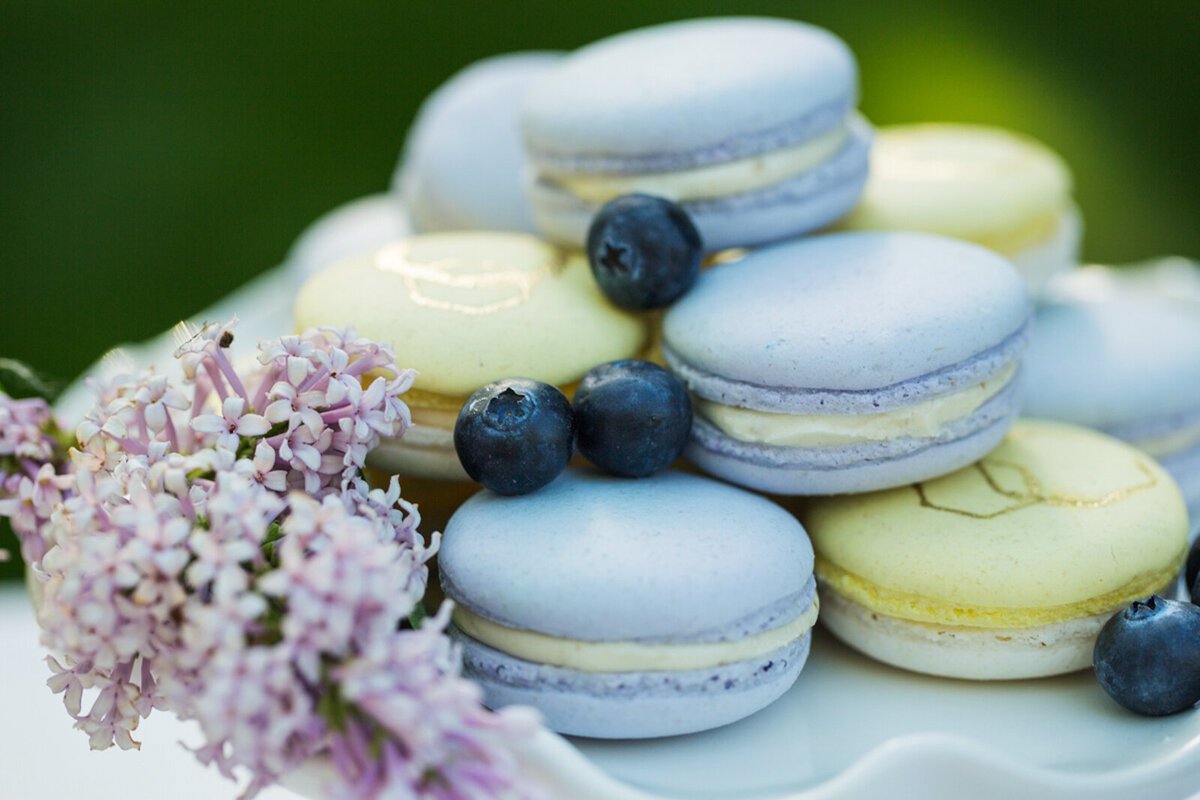 Blue and Yellow macarons plated with fresh blueberries and purple wild flowers, by Lemonberry Pastries, contemporary cakes & desserts in Calgary, Alberta, featured on the Brontë Bride Vendor Guide.