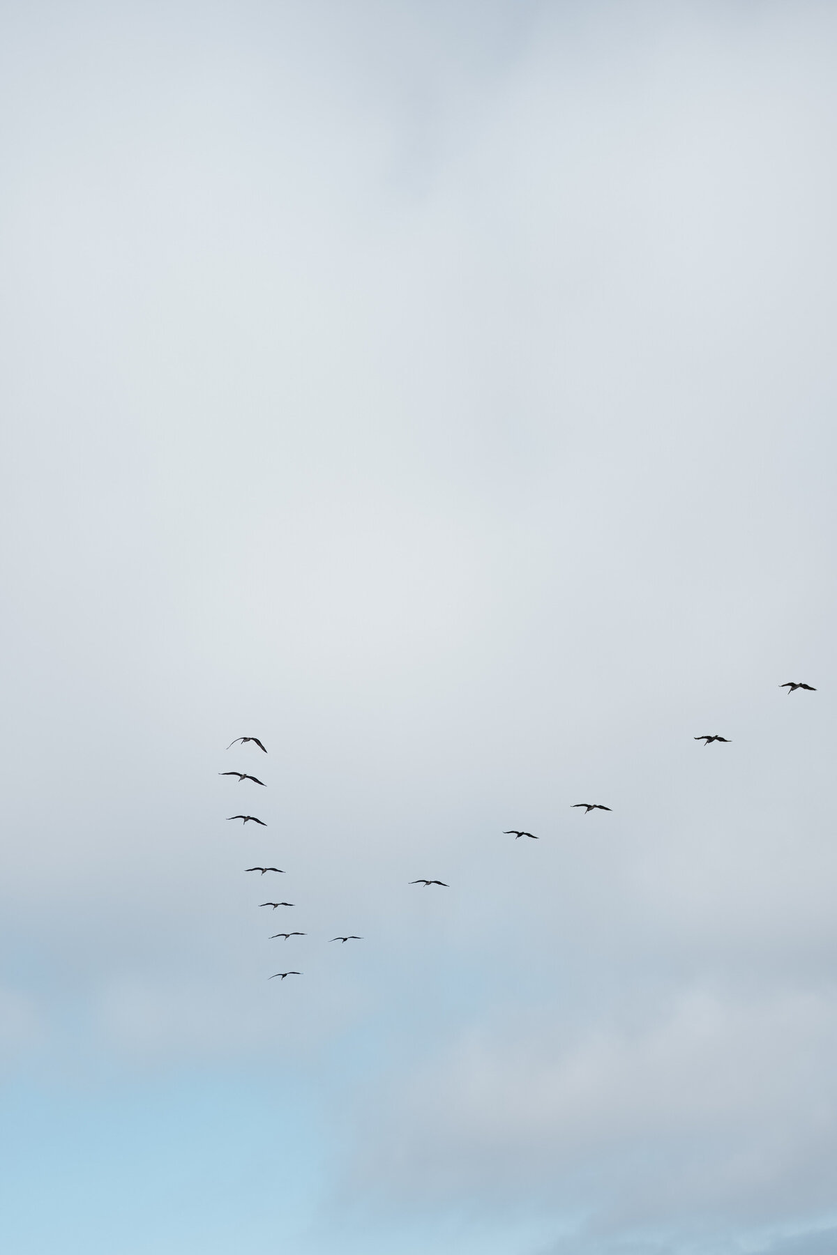 Eric+Kami-Wedding-02995