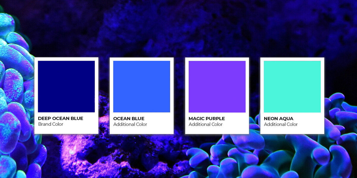 Farb- und Bildwelt von Service Ocean – markantes, leuchtendes Farbsystem für den Markenauftritt.