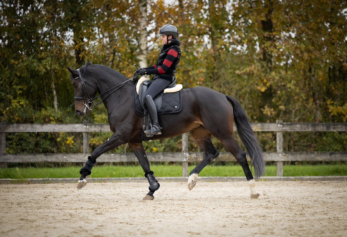 382A6959 - hoge resolutie