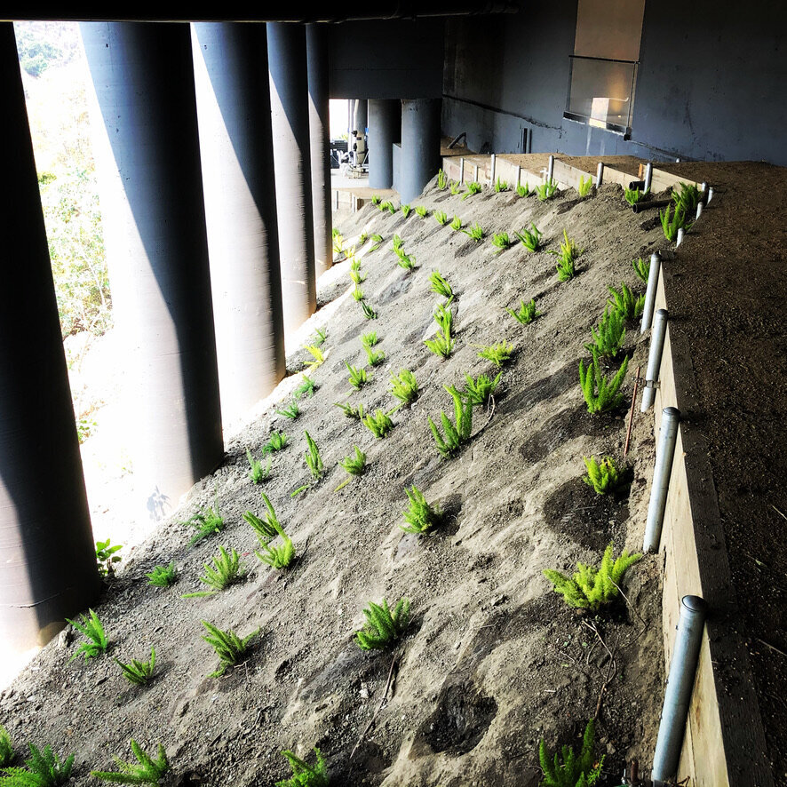 FA1B1EFE-7179-4A3B-BE66-D6829F40C3AA_1_105_c