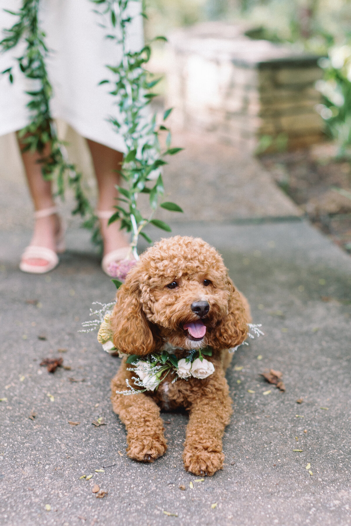 raleigh-nc-outdoor-wedding-15