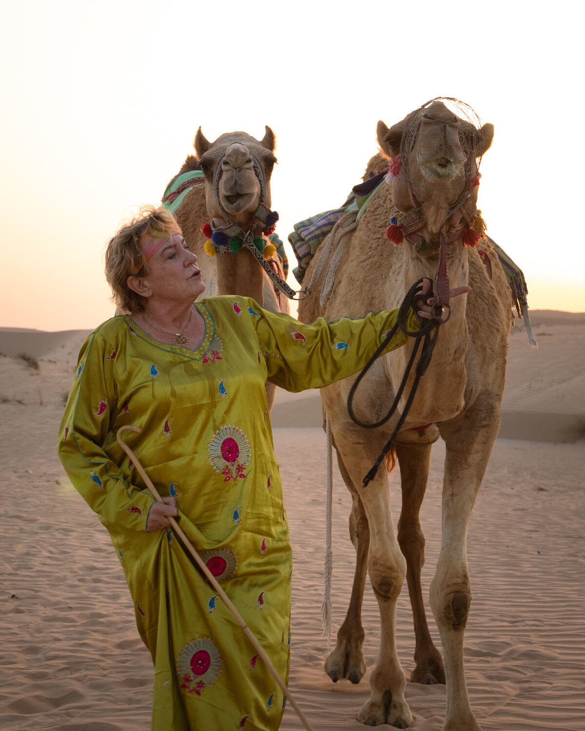 Camel Uschi in Duabi Camel Tours Living Farm