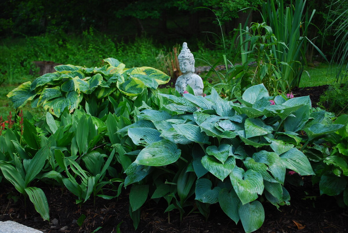 European Cottage Garden_Design Farm Group_10